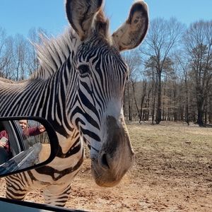 Meet your Posher, Marissa